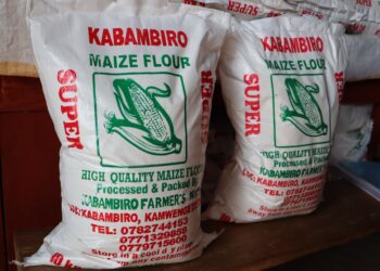 Parked maize flour that is processed by Kabambiro farmers